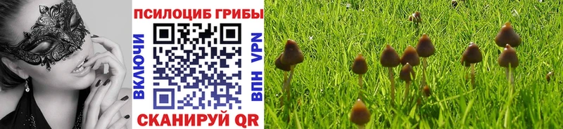 Галлюциногенные грибы Cubensis Лабытнанги