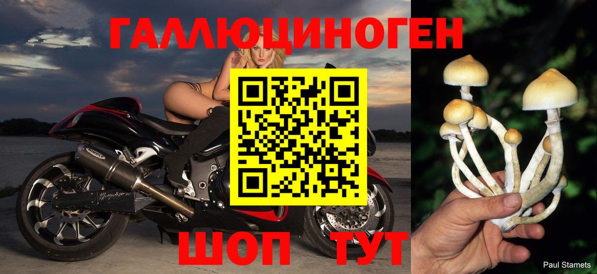 Псилоцибиновые грибы Magic Shrooms  Вход с VPN  Лабытнанги 